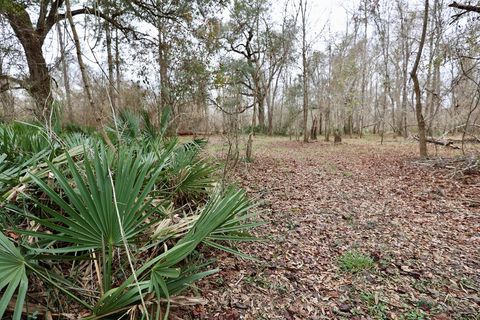 1300 Brinson Rd Colquitt GA 39837