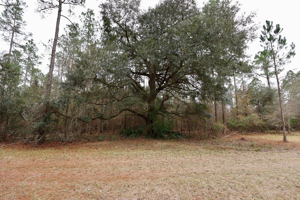 1300 Brinson Rd