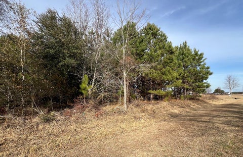 Tiny photo for 0 Greer Circle, Fitzgerald, GA 31750 (MLS # 141282)