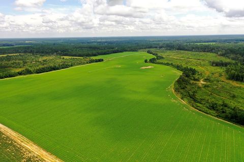 Photo of 290 Kilgore Lane, Wray, GA 31798 (MLS # 138695)