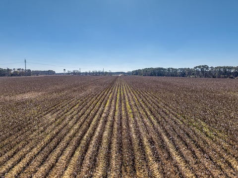 Tiny photo for 0 Brighton Rd, Tifton, GA 31794 (MLS # 142480)