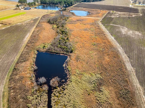 Tiny photo for 0 Brighton Rd, Tifton, GA 31794 (MLS # 142480)