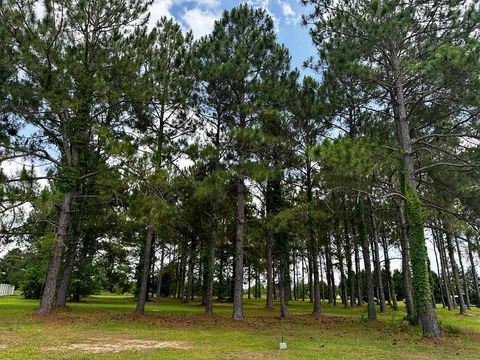 Photo of 0 Orchard Circle, Tifton, GA 31794 (MLS # 138472) Photo of 0 Orchard Circle, Tifton, GA 31794 (MLS # 138472)