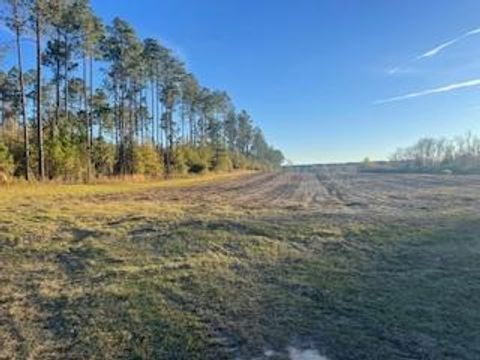 00 Satilla Church Rd Wray GA 31798