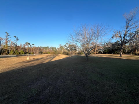 Tiny photo for 96 E Main Street, Lakeland, GA 31635 (MLS # 139134)