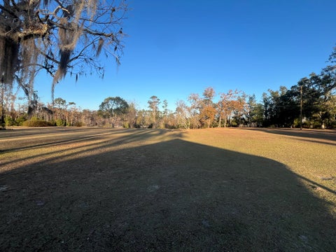 Tiny photo for 96 E Main Street, Lakeland, GA 31635 (MLS # 139134)