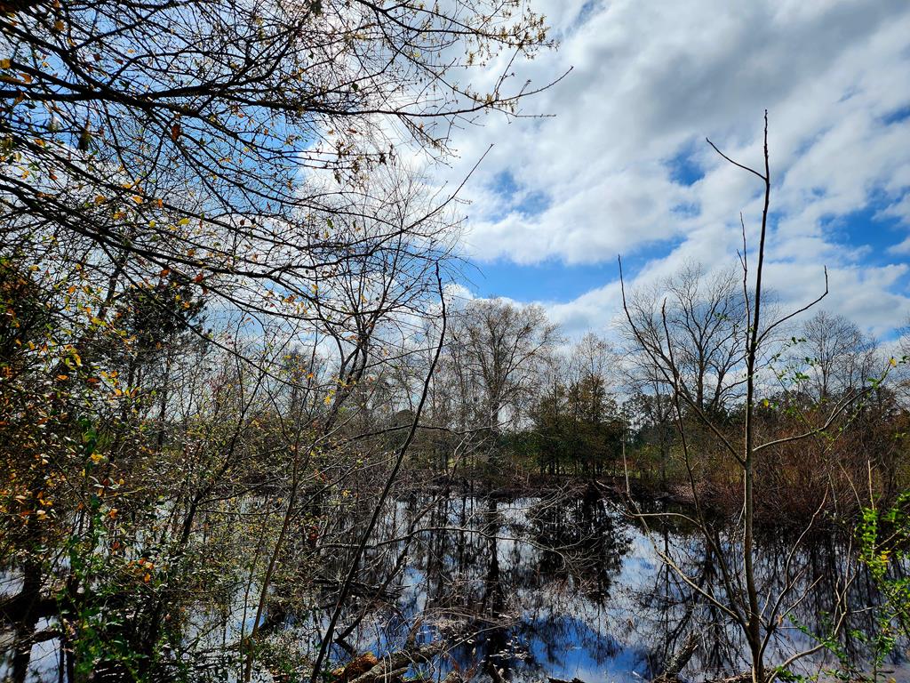 280 Horseshoe Bend Rd