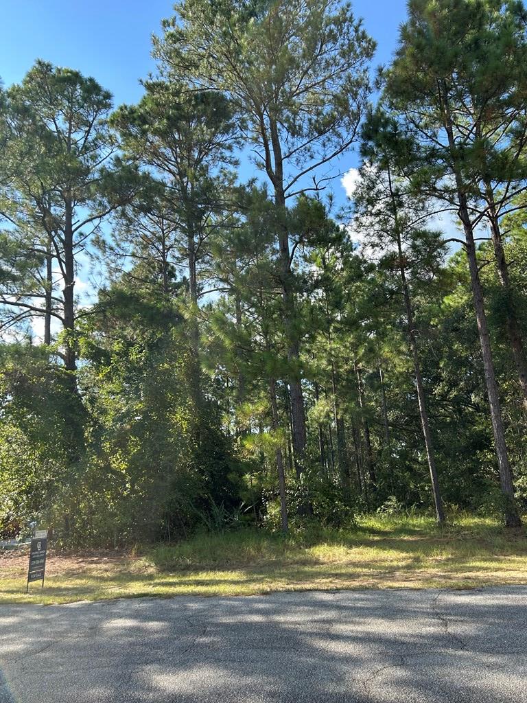 Lot 222 Forest Lakes Drive