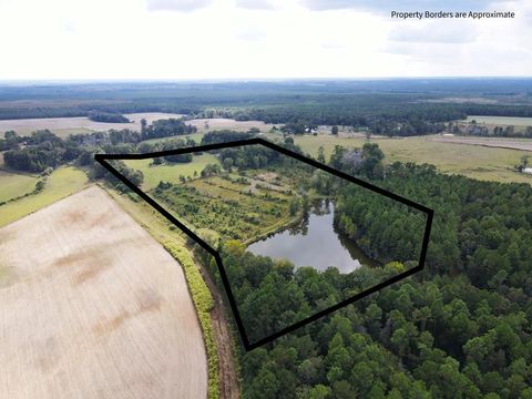 0 Beecher Road Abbeville GA 31001