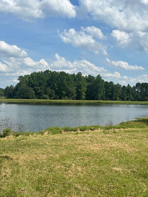 Photo of 0 Old Ocilla Rd, Tifton, GA 31794 (MLS # 138781)