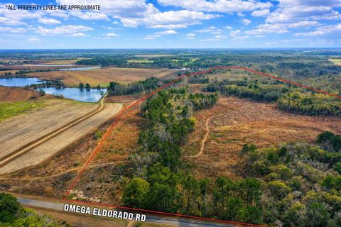 0 Omega Eldorado Rd Tifton GA 31793