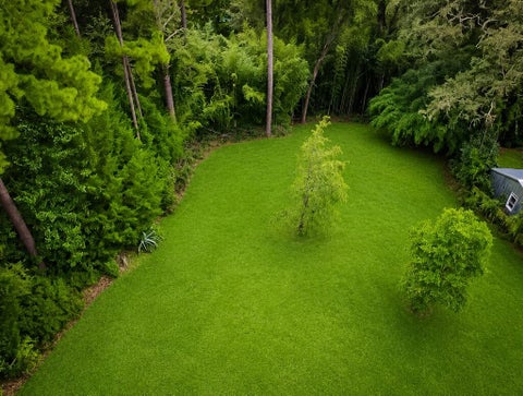 Tiny photo for 1002 Jackson Street Ext, Other, GA 30474 (MLS # 143073)