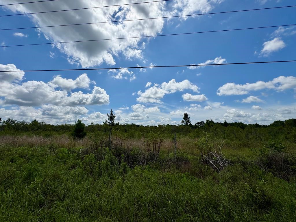 650 Benjamin H Hill Drive