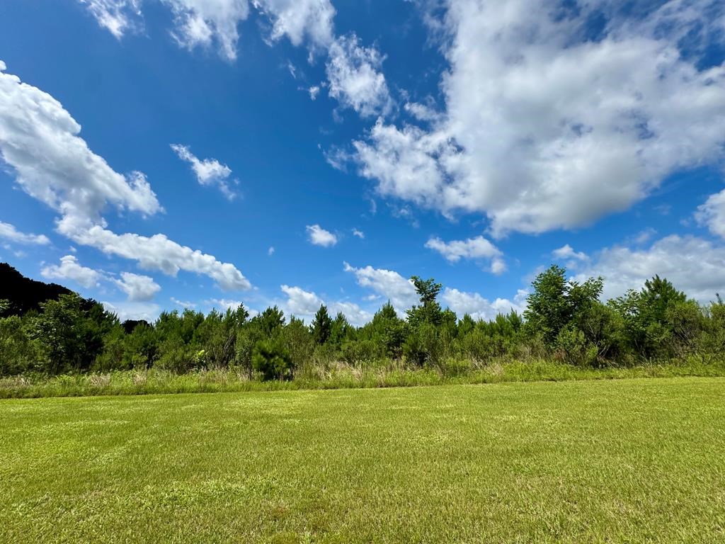 650 Benjamin H Hill Drive