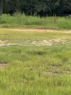 Tiny photo for 114 Elm St, Tifton, GA 31794 (MLS # 143107)