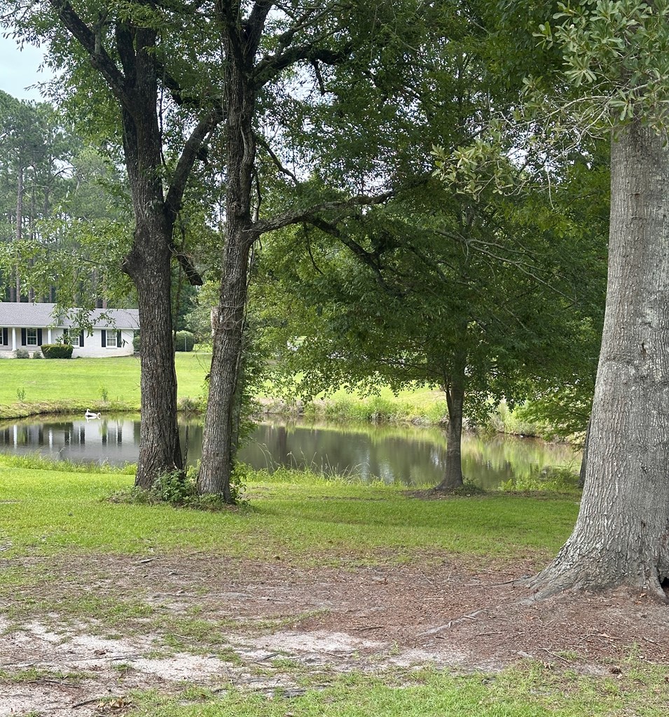 4106 Abbey Lane