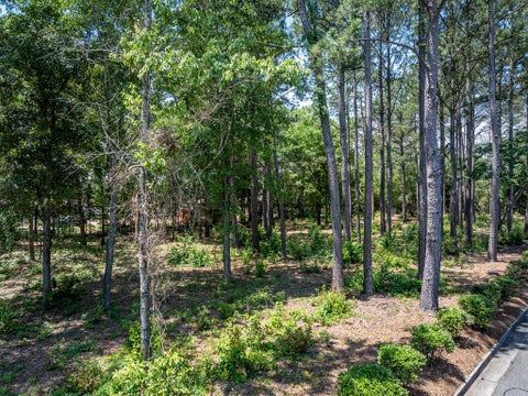 Tiny photo for 0 N Tift Ave, Tifton, GA 31793 (MLS # 142697)