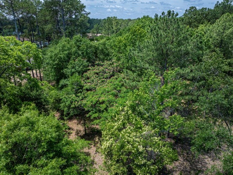 Tiny photo for 0 N Tift Ave, Tifton, GA 31793 (MLS # 142697)