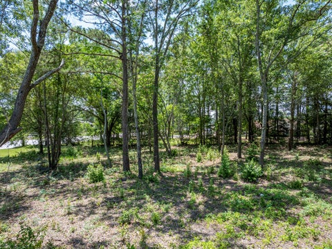 Tiny photo for 0 N Tift Ave, Tifton, GA 31793 (MLS # 142697)