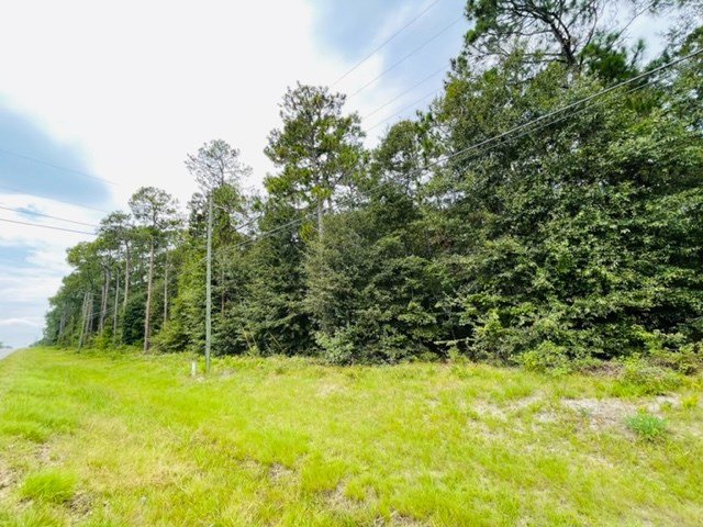 Tract 2 Highway 319 N