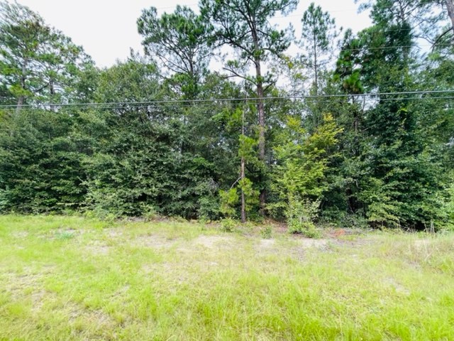 Tract 2 Highway 319 N