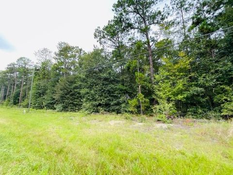 Tract 2 Highway 319 N Tifton GA 31794