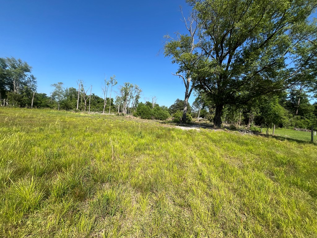 213 Bobwhite Lane