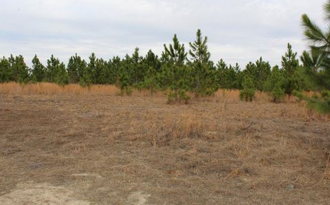 Photo of 0 SE Oakridge Church Road, Tifton, GA 31794 (MLS # 140226)