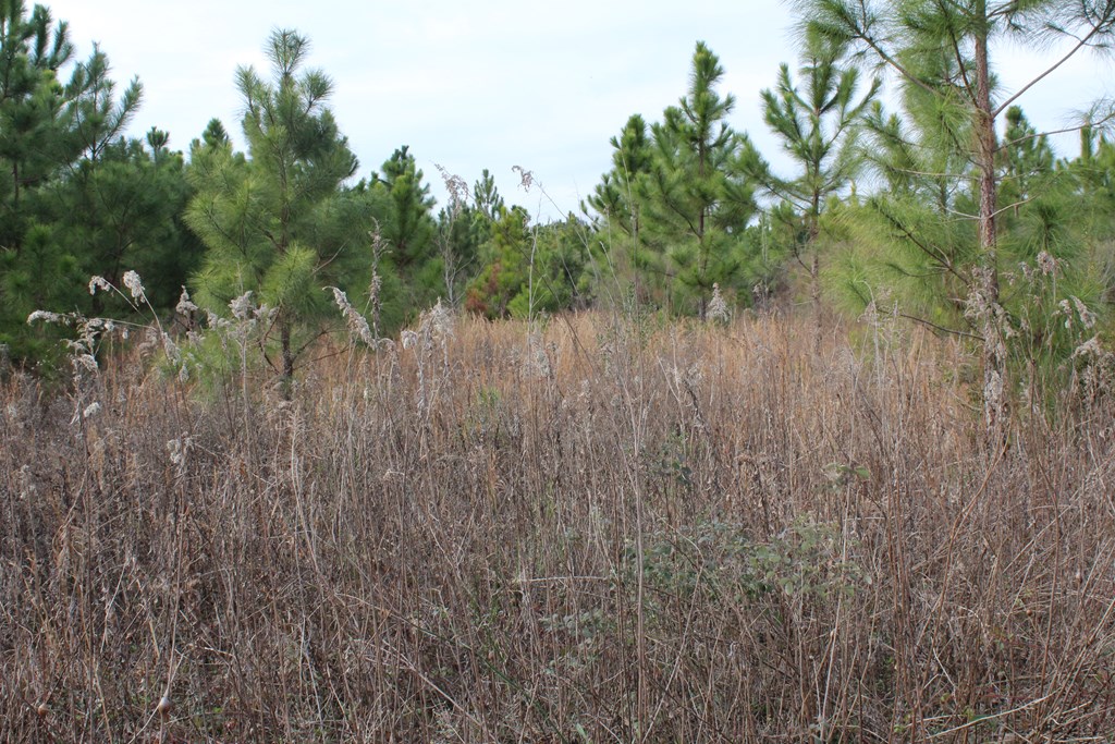 0 SE Oakridge Church Road