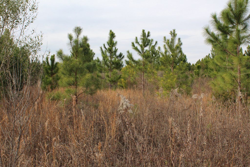 0 SE Oakridge Church Road