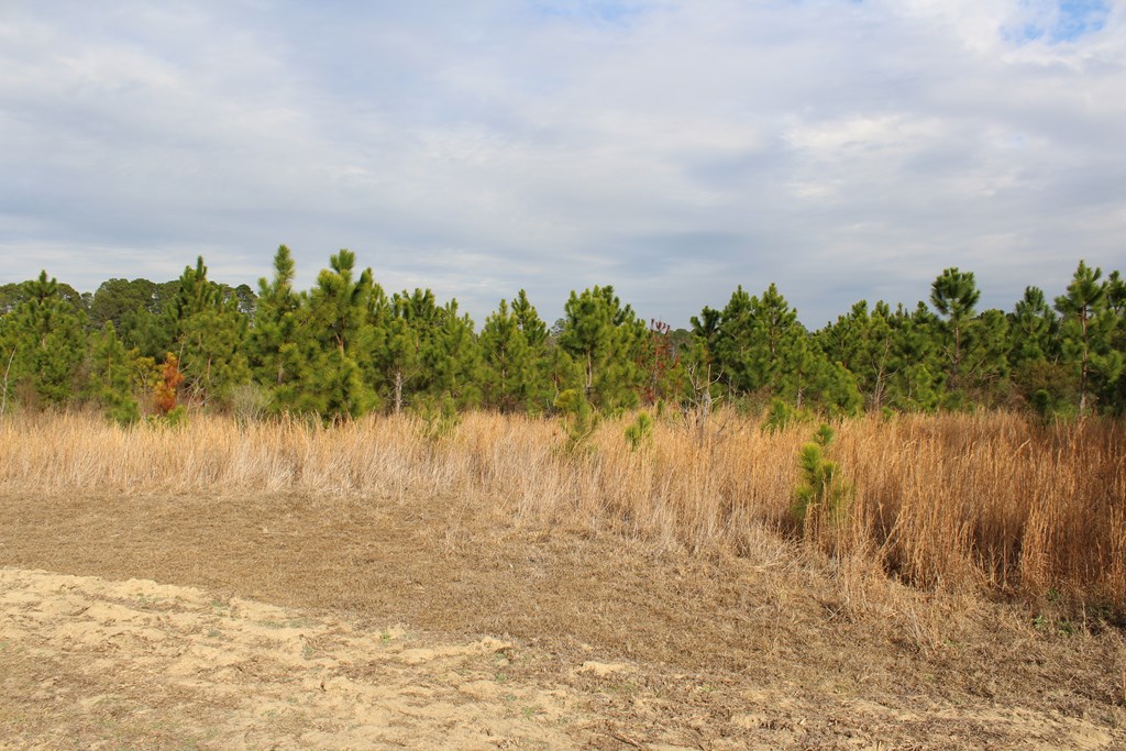 0 SE Oakridge Church Road