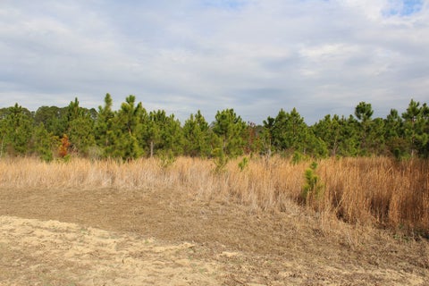 Tiny photo for 0 SE Oakridge Church Road, Tifton, GA 31794 (MLS # 140226)