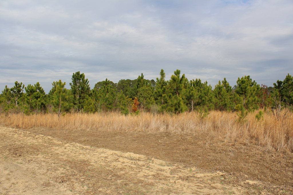 0 SE Oakridge Church Road