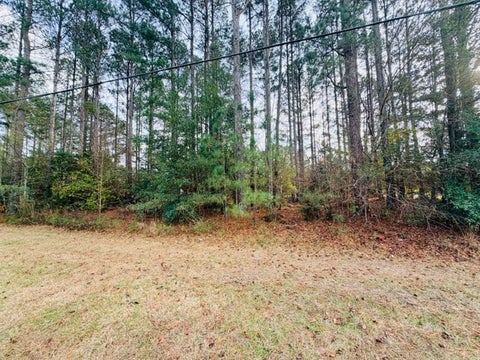 Tiny photo for 102 David Dr, Fitzgerald, GA 31750 (MLS # 139174)