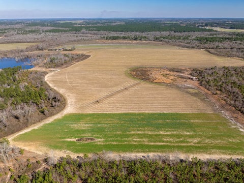 Tiny photo for 720 Vanceville County Line Rd, Tifton, GA 31794 (MLS # 142481)