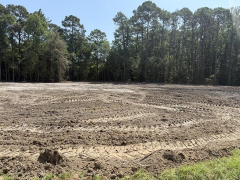 Tiny photo for 0 Deerfield Lane, Tifton, GA 31793 (MLS # 143139)