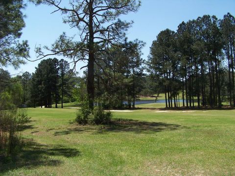 0 Eagle Ct Ashburn GA 31714