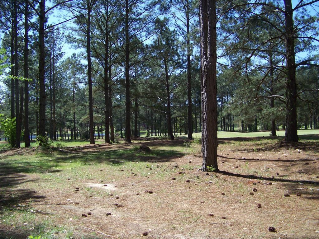 0 Eagle Ct