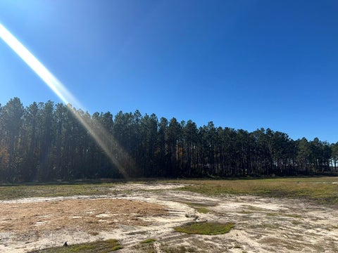 Tiny photo for 18 Mt Olive Church Rd, Tifton, GA 31794 (MLS # 142617)