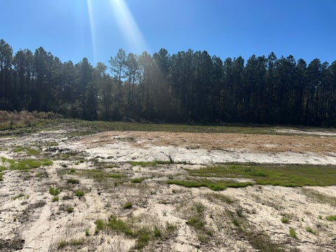 Tiny photo for 18 Mt Olive Church Rd, Tifton, GA 31794 (MLS # 142617)