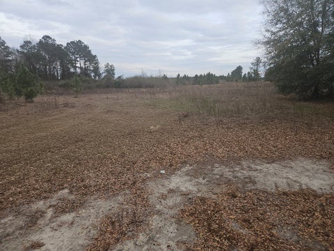 Tiny photo for 0 Snow Ridge Rd, Ashburn, GA 31714 (MLS # 141385)