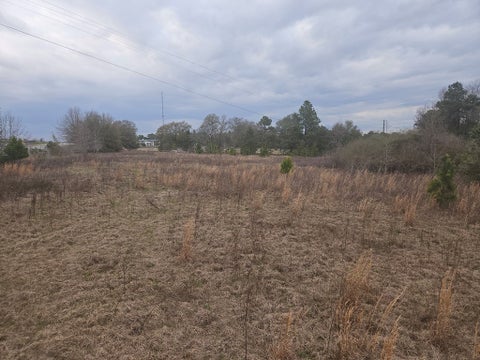 Tiny photo for 0 Snow Ridge Rd, Ashburn, GA 31714 (MLS # 141385)