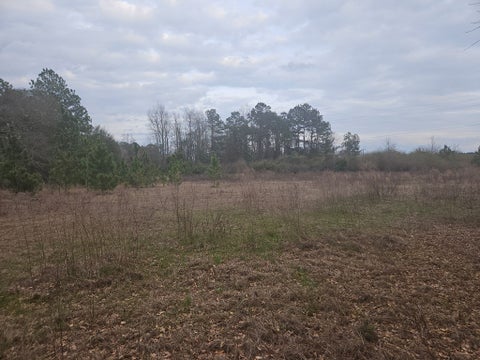 Tiny photo for 0 Snow Ridge Rd, Ashburn, GA 31714 (MLS # 141385)