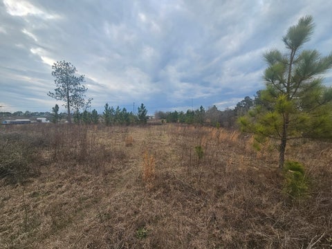 Tiny photo for 0 Snow Ridge Rd, Ashburn, GA 31714 (MLS # 141385)