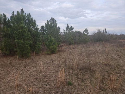 Tiny photo for 0 Snow Ridge Rd, Ashburn, GA 31714 (MLS # 141385)