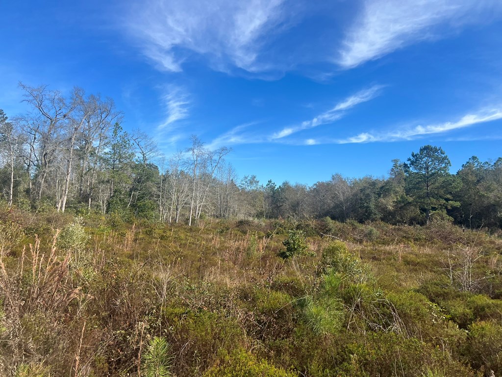 0 Clements Simmons Rd