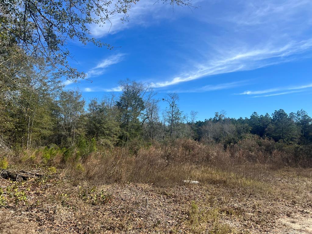 0 Clements Simmons Rd