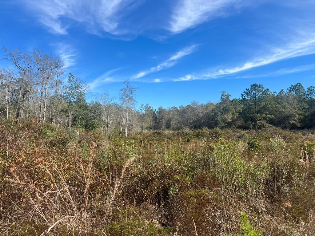 0 Clements Simmons Rd