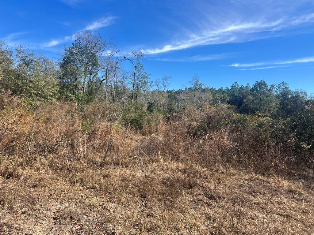 0 Clements Simmons Rd