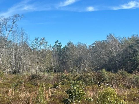 Photo of 0 Clements Simmons Rd, Tifton, GA 31794 (MLS # 139104)